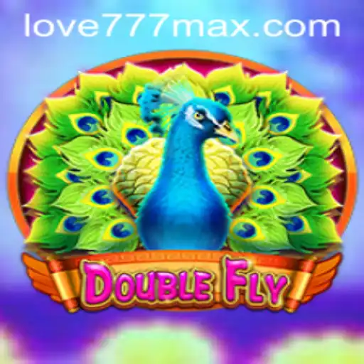DoubleFly: An Enthralling Journey with Love777
